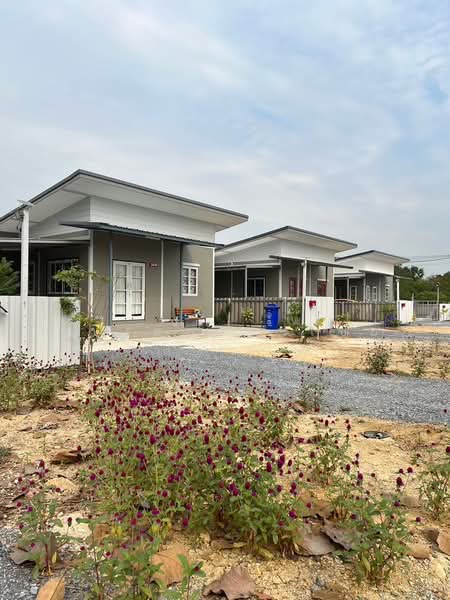 บ้านให้เช่าหลังสุดท้าย ใกล้แหล่งชุมชน เดินทางสะดวก ร่มรื่นเฮ้าส์ กาญจนาภิเษก-บางปะอิน, นนทบุรี, บางแม่นาง, บางใหญ่, นนทบุรี, 200 ตร.ม., บ้านเดี่ยว ให้เช่า, โดย ดนุเดช ชมเชย, 500204653 - DDproperty.com