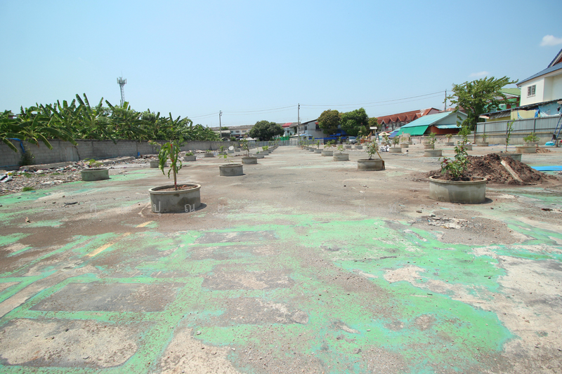 ที่ดินหนองแขม ถ.เลียบคลองฝั่งเหนือ ซ.20/2 แขวงหนองแขม เขตหนองแขม จ.กรุงเทพมหานคร 10160, Bangkok, ถ.เลียบคลองฝั่งเหนือ ซ.20/2, Nong Kham, Nong Khaem, Bangkok, , 3,000 sqm, Land For Sale, by คุณปุณยวีร์ ภู่ทอง (อ้อ), 500204692 - DDproperty.com