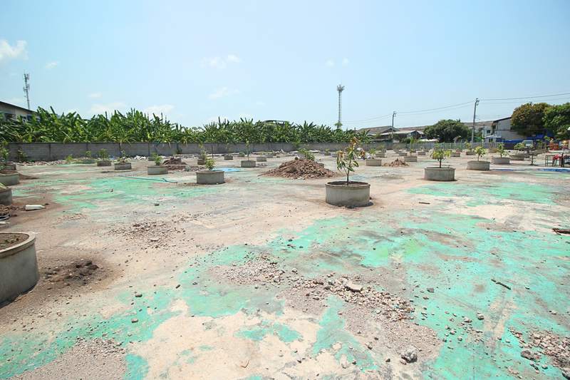 ที่ดินหนองแขม ถ.เลียบคลองฝั่งเหนือ ซ.20/2 แขวงหนองแขม เขตหนองแขม จ.กรุงเทพมหานคร 10160, Bangkok, ถ.เลียบคลองฝั่งเหนือ ซ.20/2, Nong Kham, Nong Khaem, Bangkok, , 3,000 sqm, Land For Sale, by คุณปุณยวีร์ ภู่ทอง (อ้อ), 500204692 - DDproperty.com