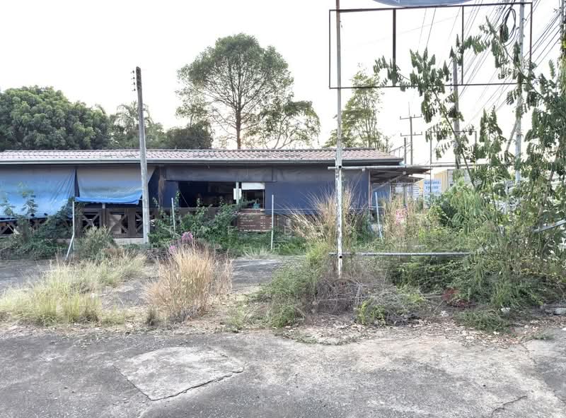 ที่ดินเพ ระยอง, ระยอง, เพ, เมืองระยอง, ระยอง, 3,608 ตร.ม., ที่ดิน ขาย, โดย The Best Property ปอ, 500204704 - DDproperty.com