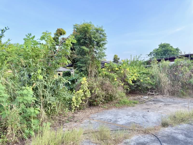 ที่ดินเพ ระยอง, Rayong, Phe, Muang Rayong, Rayong, , 3,608 sqm, Land For Sale, by The Best Property ปอ, 500204704 - DDproperty.com
