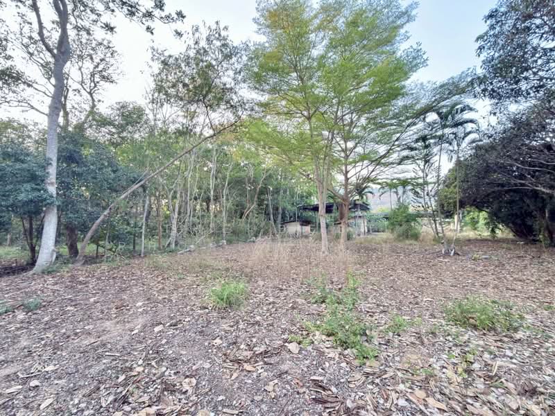 ที่ดินเพ ระยอง, ระยอง, เพ, เมืองระยอง, ระยอง, 3,608 ตร.ม., ที่ดิน ขาย, โดย The Best Property ปอ, 500204704 - DDproperty.com