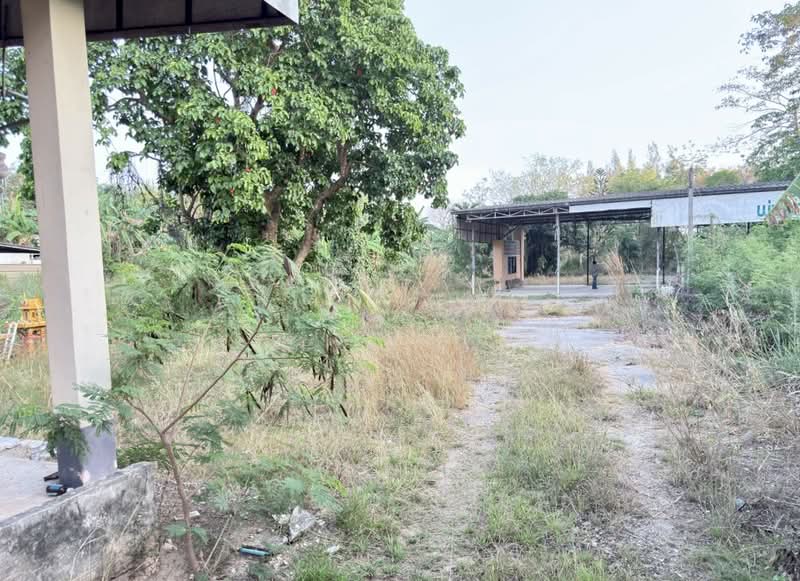 ที่ดินเพ ระยอง, Rayong, Phe, Muang Rayong, Rayong, , 3,608 sqm, Land For Sale, by The Best Property ปอ, 500204704 - DDproperty.com