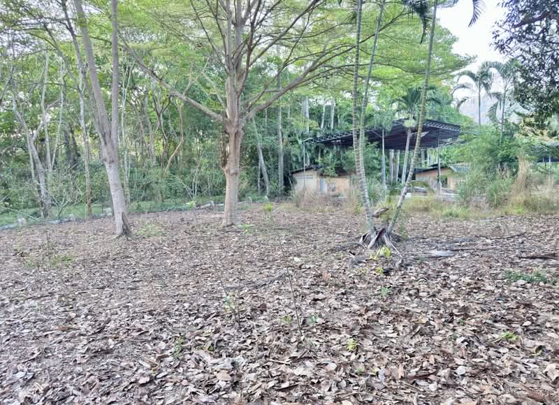 ที่ดินเพ ระยอง, Rayong, Phe, Muang Rayong, Rayong, , 3,608 sqm, Land For Sale, by The Best Property ปอ, 500204704 - DDproperty.com