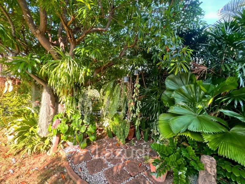 The Heights 2, Prachuap Khiri Khan, Nong Kae, Hua Hin, Prachuap Khiri Khan, 4 Bedrooms, 280 sqm, Villa For Sale, by Saifon Phuphanna, 500204802 - DDproperty.com