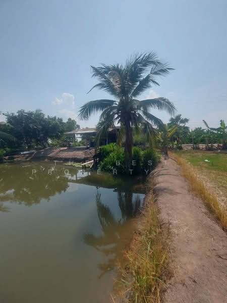 ที่ดินบางเลน นครปฐม, Nakhon Pathom, Hin Mun, Bang Len, Nakhon Pathom, , 23,852 sqm, Land For Sale, by The Best Property เน็ท, 500204849 - DDproperty.com