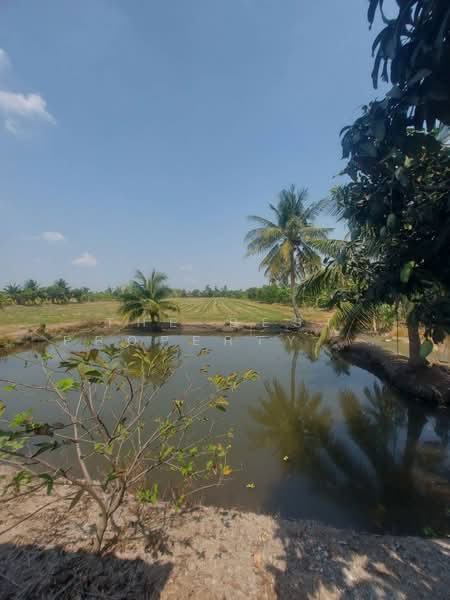 ที่ดินบางเลน นครปฐม, Nakhon Pathom, Hin Mun, Bang Len, Nakhon Pathom, , 23,852 sqm, Land For Sale, by The Best Property เน็ท, 500204849 - DDproperty.com