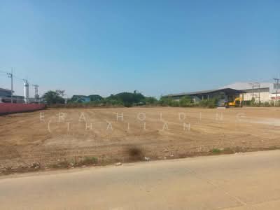 ขาย - ผังม่วง, นครปฐม