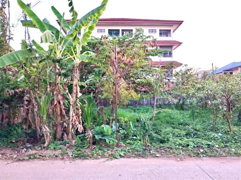 ขาย - ที่ดินท่าอิฐ อุตรดิตถ์, อุตรดิตถ์