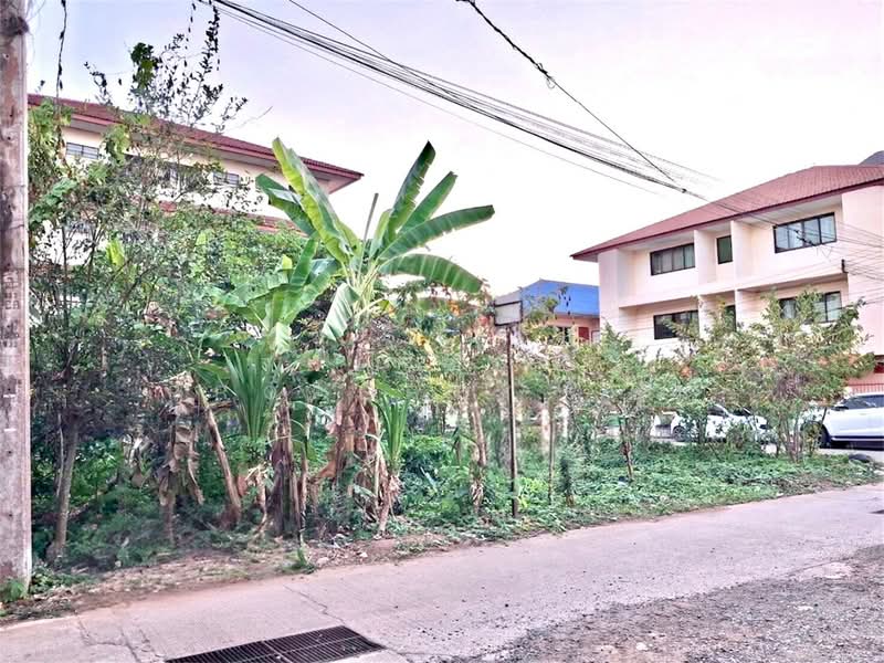 ขาย - ที่ดินท่าอิฐ อุตรดิตถ์, อุตรดิตถ์