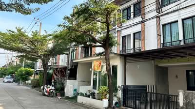 ขาย - Areeya Metro Kaset-Nawamin : อารียา เมทโทร เกษตร-นวมินทร์, กรุงเทพ