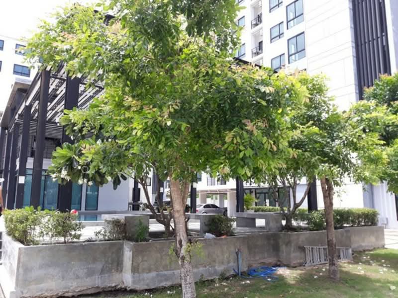 The Avenue Spring @ ABAC Bangna, Samut Prakan, Bangna-Trad Km.26, Bang Sao Thong, Bang Sao Thong, Samut Prakan, Studio, 23 sqm, Condo For Rent, by JOY (Attanakan), 500204980 - DDproperty.com