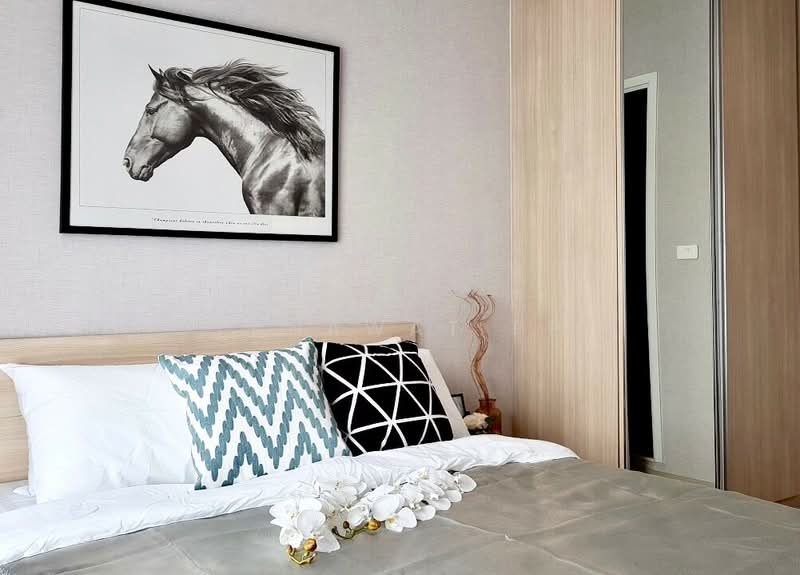 Plum Condo Ramkhamheng Station, Bangkok, Ramkhamhaeng Road, Suan Luang, Suan Luang, Bangkok, 1 Bedroom, 27 sqm, Condo For Rent, by Tanawat PP, 500205015 - DDproperty.com