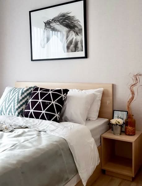 Plum Condo Ramkhamheng Station, Bangkok, Ramkhamhaeng Road, Suan Luang, Suan Luang, Bangkok, 1 Bedroom, 27 sqm, Condo For Rent, by Tanawat PP, 500205015 - DDproperty.com