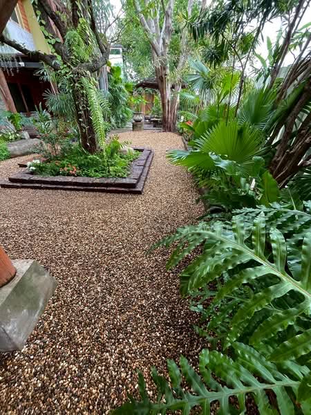 Siwalee Lakeview : สีวลี เลควิว-เชียงใหม่, เชียงใหม่, แม่เหียะ, เมืองเชียงใหม่, เชียงใหม่, 270 ตร.ม., บ้านเดี่ยว ให้เช่า, โดย Koi Yanawee, 500205035 - DDproperty.com