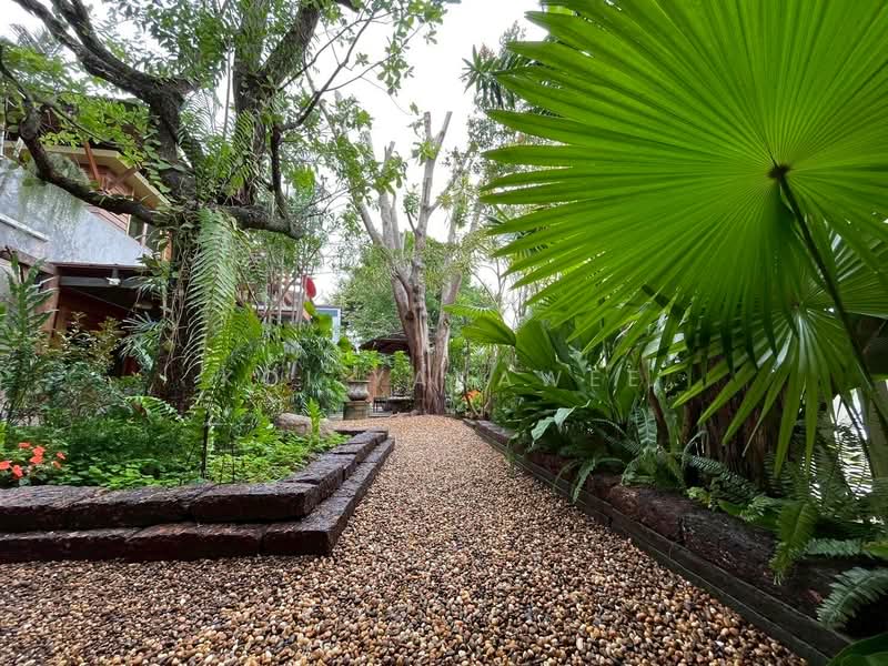 Siwalee Lakeview, Chiang Mai, Mae Hia, Muang Chiang Mai, Chiang Mai, 5 Bedrooms, 270 sqm, Single Detached House For Rent, by Koi Yanawee, 500205035 - DDproperty.com