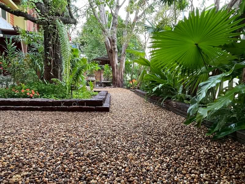 Siwalee Lakeview, Chiang Mai, Mae Hia, Muang Chiang Mai, Chiang Mai, 5 Bedrooms, 270 sqm, Single Detached House For Rent, by Koi Yanawee, 500205035 - DDproperty.com