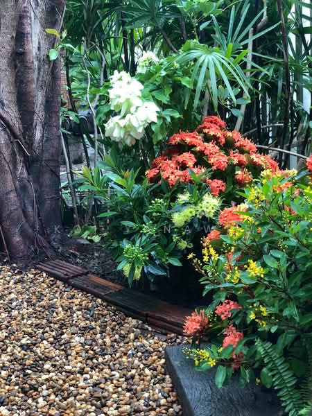 Siwalee Lakeview : สีวลี เลควิว-เชียงใหม่, เชียงใหม่, แม่เหียะ, เมืองเชียงใหม่, เชียงใหม่, 270 ตร.ม., บ้านเดี่ยว ให้เช่า, โดย Koi Yanawee, 500205035 - DDproperty.com