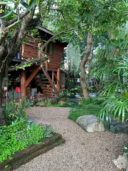 Siwalee Lakeview, Chiang Mai, Mae Hia, Muang Chiang Mai, Chiang Mai, 5 Bedrooms, 270 sqm, Single Detached House For Rent, by Koi Yanawee, 500205035 - DDproperty.com