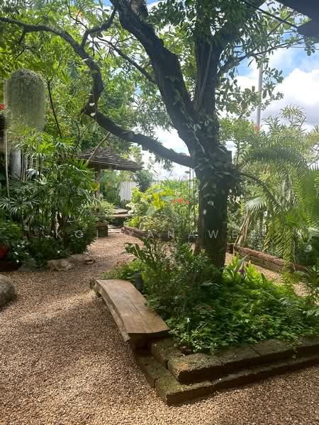 Siwalee Lakeview, Chiang Mai, Mae Hia, Muang Chiang Mai, Chiang Mai, 5 Bedrooms, 270 sqm, Single Detached House For Rent, by Koi Yanawee, 500205035 - DDproperty.com