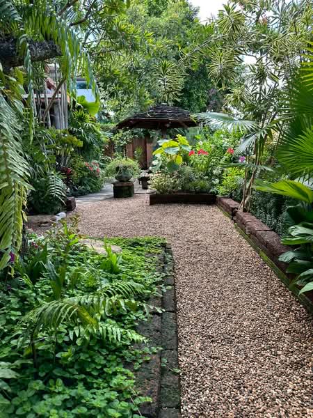 Siwalee Lakeview : สีวลี เลควิว-เชียงใหม่, เชียงใหม่, แม่เหียะ, เมืองเชียงใหม่, เชียงใหม่, 270 ตร.ม., บ้านเดี่ยว ให้เช่า, โดย Koi Yanawee, 500205035 - DDproperty.com