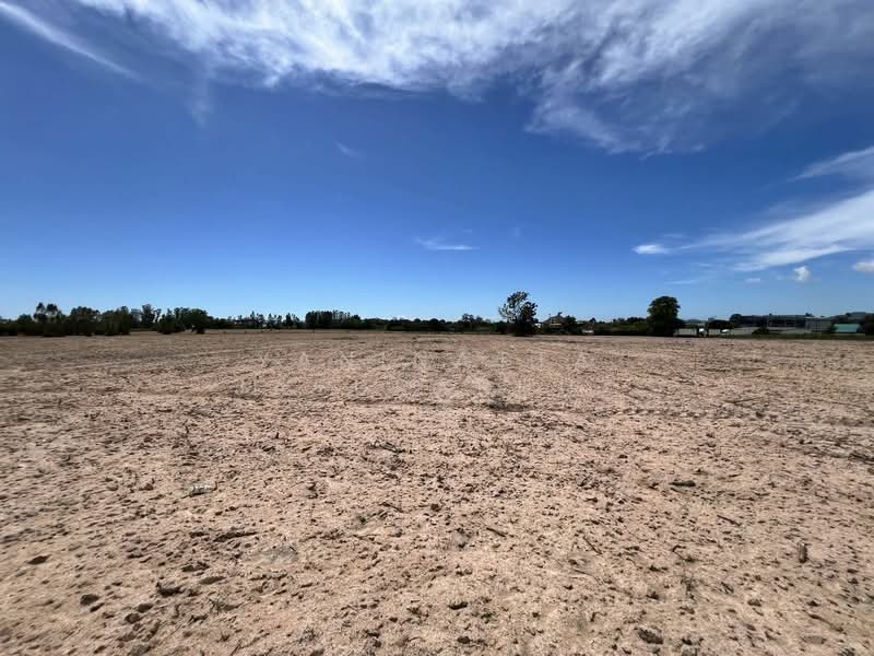 Land in Sriracha, Chon Buri (Pattaya), Si Racha, Si Racha, Chon Buri (Pattaya), , 444,800 sqm, Warehouse/Factory For Sale, by Yaninatta Jaturaphut, 500205235 - DDproperty.com