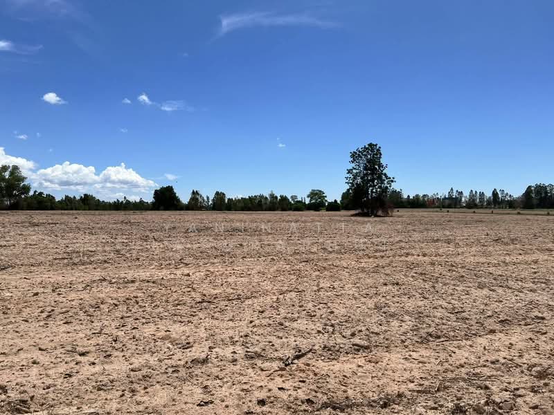 Land in Sriracha, Chon Buri (Pattaya), Si Racha, Si Racha, Chon Buri (Pattaya), , 444,800 sqm, Warehouse/Factory For Sale, by Yaninatta Jaturaphut, 500205235 - DDproperty.com