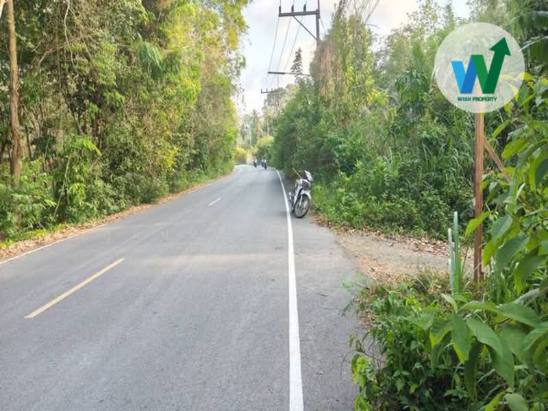 ขาย - ขายด่วนที่ดินติดถนนสายสามแยกศาลาหัวไส-ไทรงาม อำเภอควนขนุน, พัทลุง