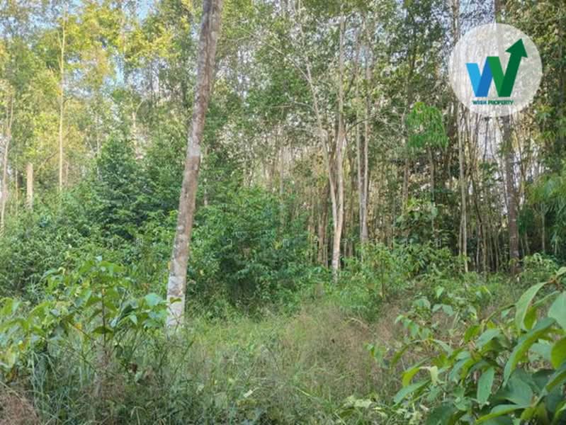 For sale Land Khuan Khanun Phatthalung, Phatthalung, -, Tale Noi, Khuan Khanun, Phatthalung, , 5,132 sqm, Land For Sale, by สุมนทา กรรณนุช, 500205298 - DDproperty.com