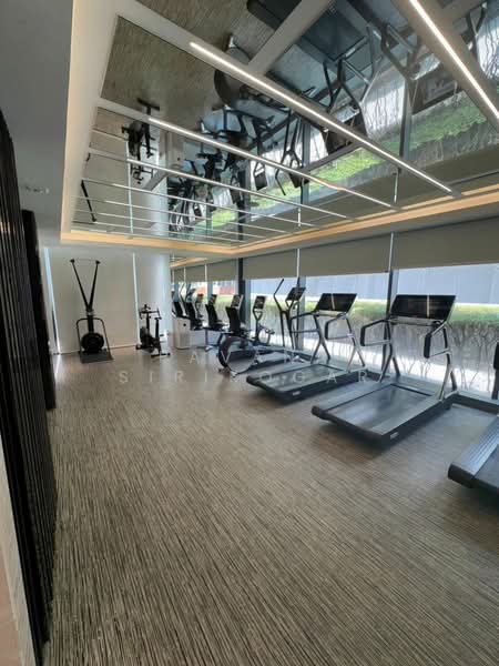 MARQUE Sukhumvit, Bangkok, 719 Sukhumvit 39 Road, Khlong Tan Nua, Watthana, Bangkok, 3 Bedrooms, 156 sqm, Condo For Rent, by Pavana Sirikogar, 500205374 - DDproperty.com