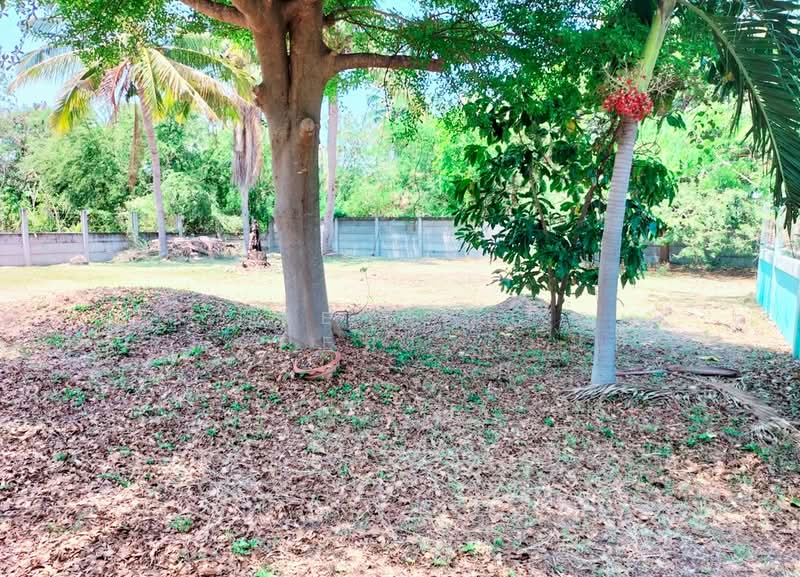 บ้านเดี่ยวเขาย้อย เพชรบุรี, Phetchaburi, Nong Prong, Khao Yoi, Phetchaburi, 3 Bedrooms, 100 sqm, Single Detached House For Sale, by The Best Property มนต์, 500205642 - DDproperty.com