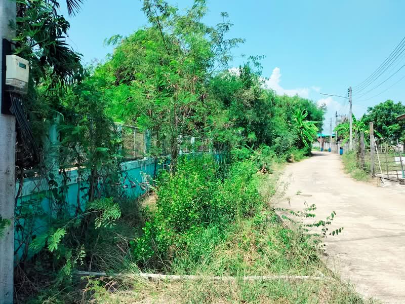 บ้านเดี่ยวเขาย้อย เพชรบุรี, เพชรบุรี, หนองปรง, เขาย้อย, เพชรบุรี, 100 ตร.ม., บ้านเดี่ยว ขาย, โดย The Best Property มนต์, 500205642 - DDproperty.com