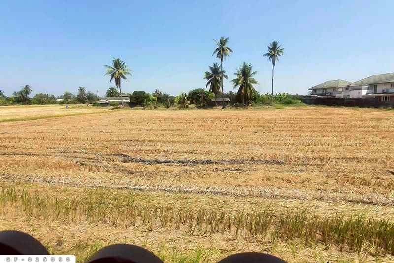 Pruksa 8 Nakhon Chai Si House, Nakhon Pathom, Lan Tak Fa, Nakhon Chai Sri, Nakhon Pathom, 3 Bedrooms, 240 sqm, Single Detached House For Sale, by Benchawarin Pakkawetppisit, 500205685 - DDproperty.com