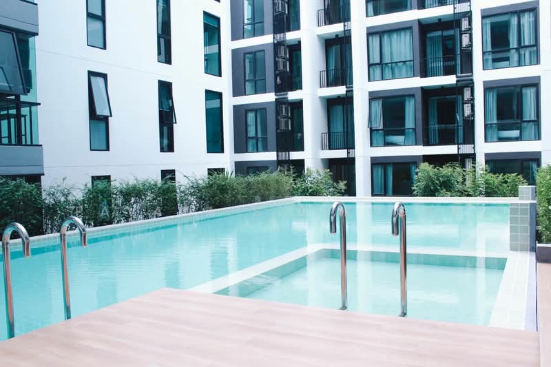 Tree Condo Sukhumvit 50, Bangkok, - Sukhumvit Road, Phra Kanong, Khlong Toei, Bangkok, 1 Bedroom, 42 sqm, Condo For Rent, by Pavana Sirikogar, 500205713 - DDproperty.com
