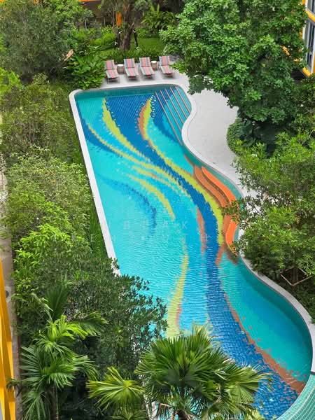 The Base Rise, ภูเก็ต, วิชิต, เมืองภูเก็ต, ภูเก็ต, 26 ตร.ม., คอนโด ให้เช่า, โดย Subpakit (Ken) Uthairat, 500205723 - DDproperty.com