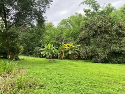 ขาย - ที่ดินดอยสะเก็ด, เชียงใหม่