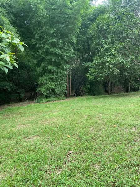 Land in Doi Saket, Chiang Mai, Mae Pong, Doi Saket, Chiang Mai, , 10,924 sqm, Land For Sale, by Shori Asset Group Co., Ltd., 500205798 - DDproperty.com