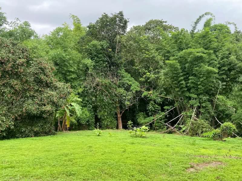 Land in Doi Saket, Chiang Mai, Mae Pong, Doi Saket, Chiang Mai, , 10,924 sqm, Land For Sale, by Shori Asset Group Co., Ltd., 500205798 - DDproperty.com