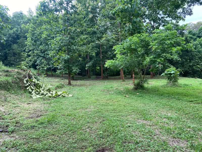 Land in Doi Saket, Chiang Mai, Mae Pong, Doi Saket, Chiang Mai, , 10,924 sqm, Land For Sale, by Shori Asset Group Co., Ltd., 500205798 - DDproperty.com