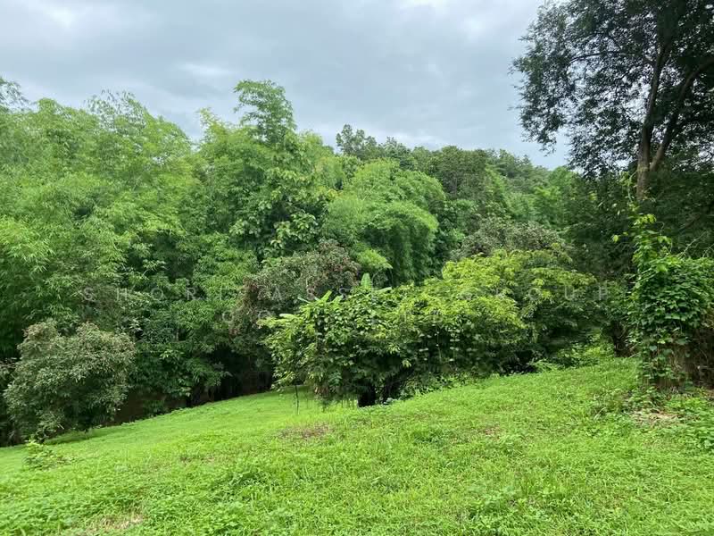 Land in Doi Saket, Chiang Mai, Mae Pong, Doi Saket, Chiang Mai, , 10,924 sqm, Land For Sale, by Shori Asset Group Co., Ltd., 500205798 - DDproperty.com