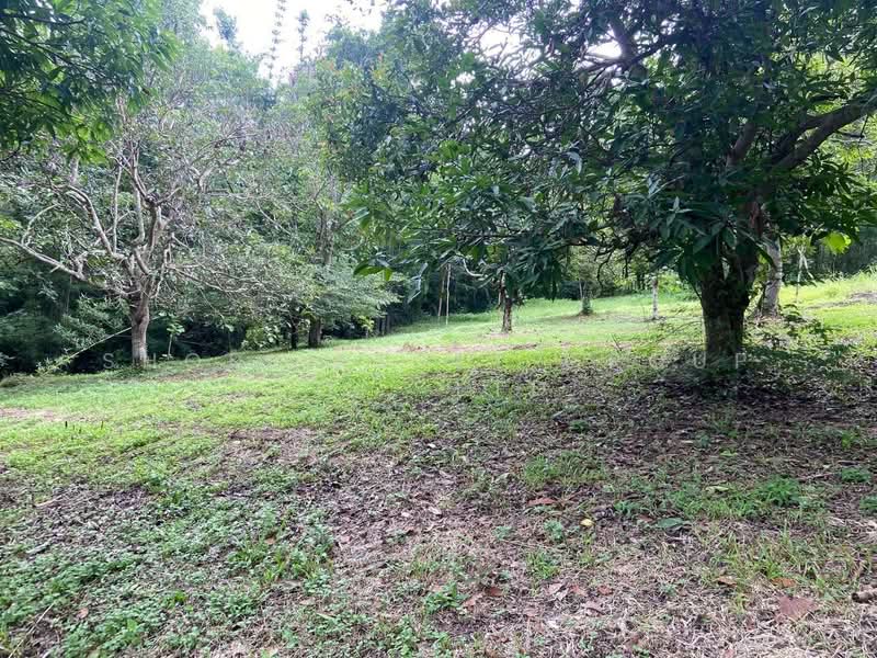 Land in Doi Saket, Chiang Mai, Mae Pong, Doi Saket, Chiang Mai, , 10,924 sqm, Land For Sale, by Shori Asset Group Co., Ltd., 500205798 - DDproperty.com