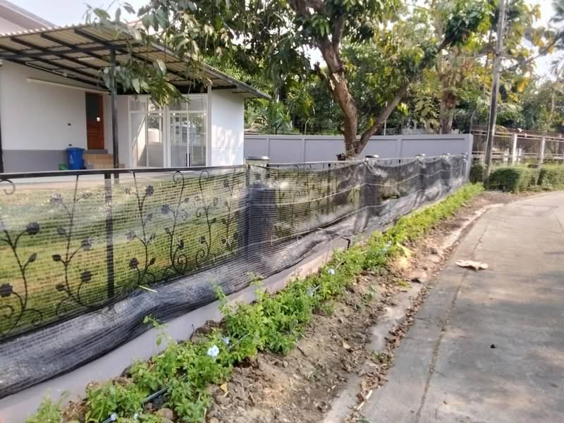 บ้านเดี่ยว ซอยแบริ่ง 25/2, สมุทรปราการ, ถนนสุขุมวิท 107, สำโรงเหนือ, เมืองสมุทรปราการ, สมุทรปราการ, 110 ตร.ม., บ้านเดี่ยว ให้เช่า, โดย Connex Property, 500205808 - DDproperty.com