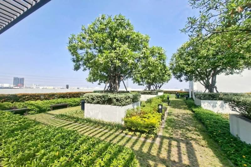 Aspire Ngamwongwan, Bangkok, 222 Ngamwongwan Road, Thung Song Hong, Lak Si, Bangkok, 1 Bedroom, 28 sqm, Condo For Sale, by สง่าชัย ไทรทองคำ, 500205812 - DDproperty.com