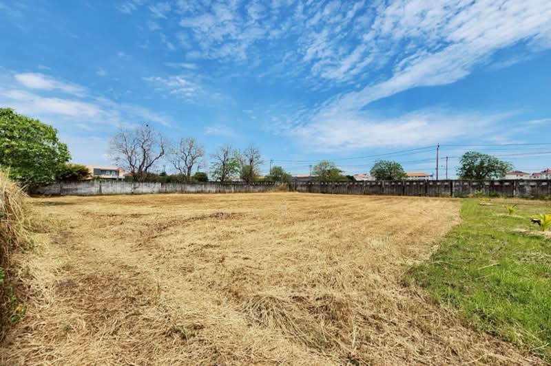 ปัญญาอินทรา P5, Bangkok, ปัญญาอินทรา, Bang Chun, Khlong Sam Wa, Bangkok, , 1,548 sqm, Land For Sale, by คุณมิว, 500205855 - DDproperty.com