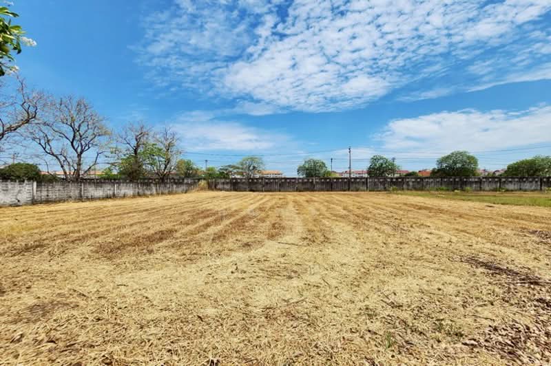 ปัญญาอินทรา P5, กรุงเทพ, ปัญญาอินทรา, บางชัน, คลองสามวา, กรุงเทพ, 1,548 ตร.ม., ที่ดิน ขาย, โดย คุณมิว, 500205855 - DDproperty.com