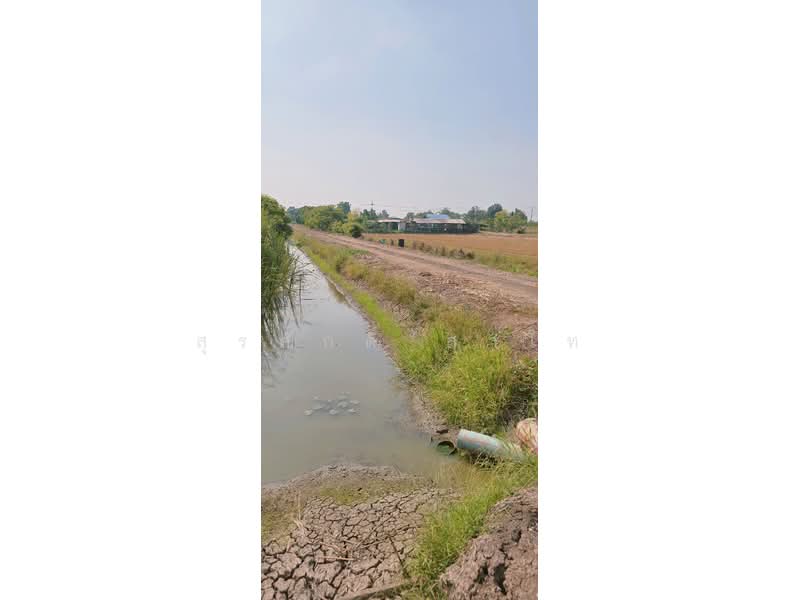 Vacant Land Lat Lum Kaeo Pathum Thani, Pathum Thani, เลียบคลองลากค้อน, Na-Mai, Lat Lum Kaeo, Pathum Thani, , 38,800 sqm, Land For Sale, by Surasak Satho, 500205901 - DDproperty.com