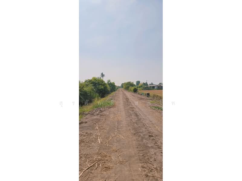 Vacant Land Lat Lum Kaeo Pathum Thani, Pathum Thani, เลียบคลองลากค้อน, Na-Mai, Lat Lum Kaeo, Pathum Thani, , 38,800 sqm, Land For Sale, by Surasak Satho, 500205901 - DDproperty.com