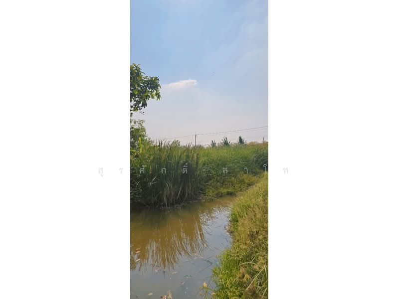 Vacant Land Lat Lum Kaeo Pathum Thani, Pathum Thani, เลียบคลองลากค้อน, Na-Mai, Lat Lum Kaeo, Pathum Thani, , 38,800 sqm, Land For Sale, by Surasak Satho, 500205901 - DDproperty.com
