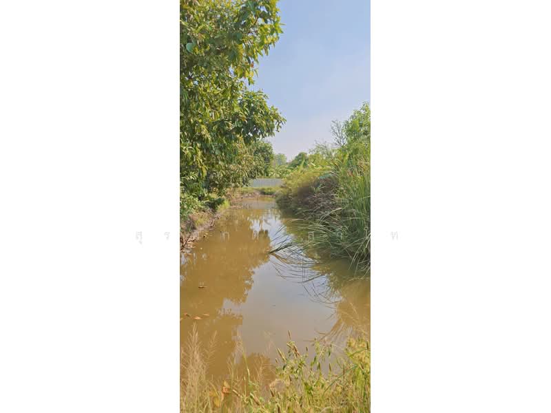 Vacant Land Lat Lum Kaeo Pathum Thani, Pathum Thani, เลียบคลองลากค้อน, Na-Mai, Lat Lum Kaeo, Pathum Thani, , 38,800 sqm, Land For Sale, by Surasak Satho, 500205901 - DDproperty.com