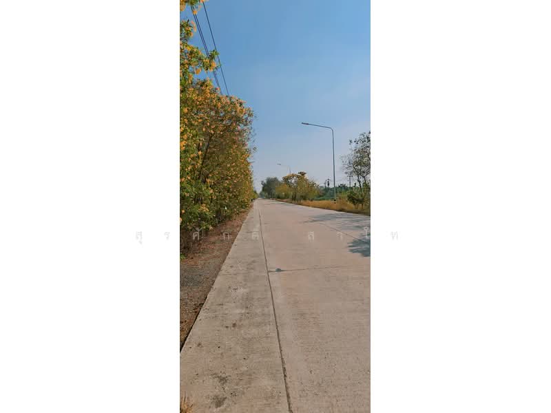 ที่ดินติดถนนเลียบคลองลากค้อน ต.หน้าไม้ อ.ลาดหลุมแก้ว จ.ปทุมธานี, ปทุมธานี, เลียบคลองลากค้อน, หน้าไม้, ลาดหลุมแก้ว, ปทุมธานี, 38,800 ตร.ม., ที่ดิน ขาย, โดย สุรศักดิ์ สาโท, 500205901 - DDproperty.com